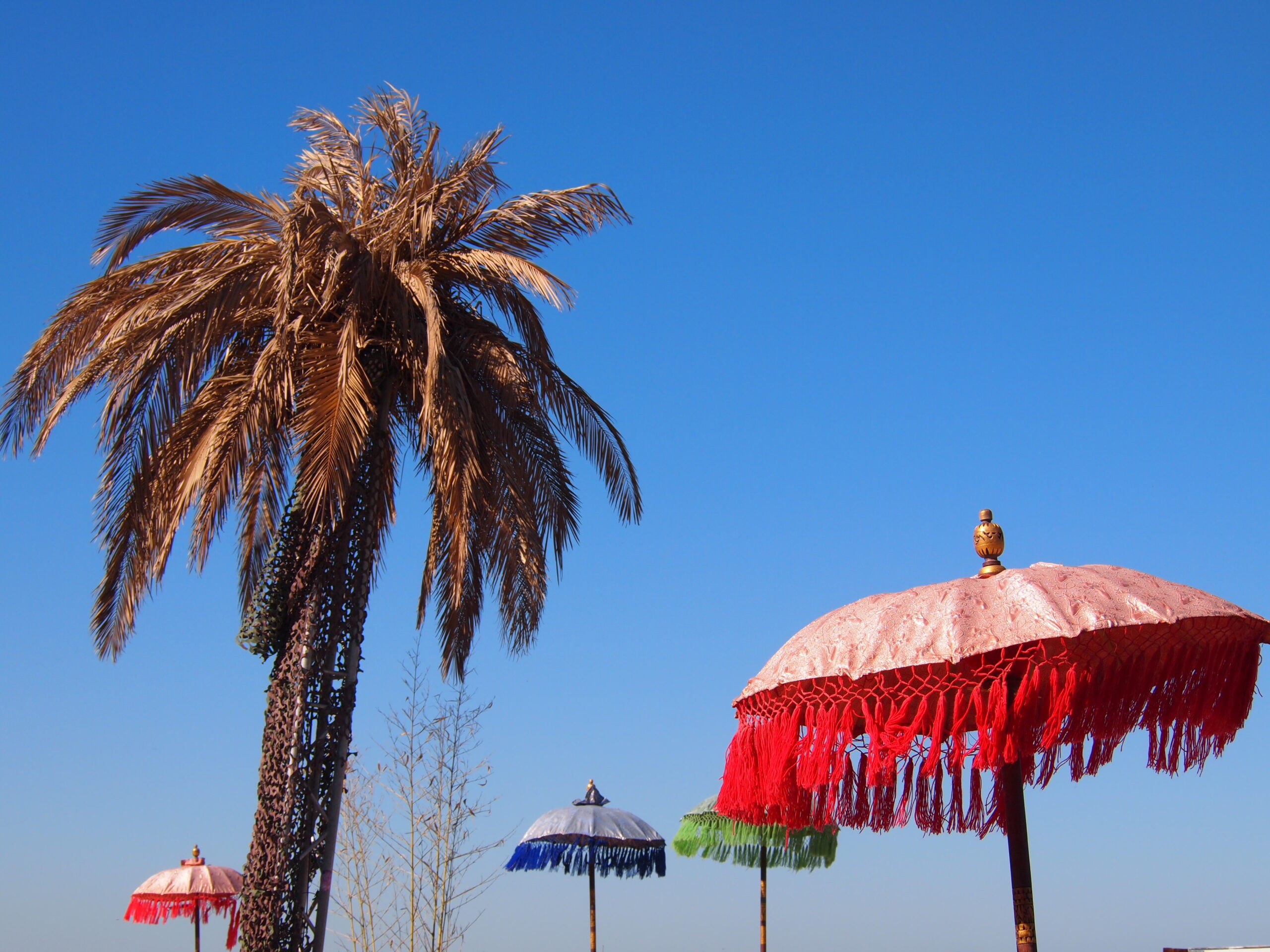 SPIAGGIA PALME